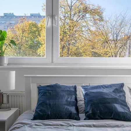 Flower Check In 24h *